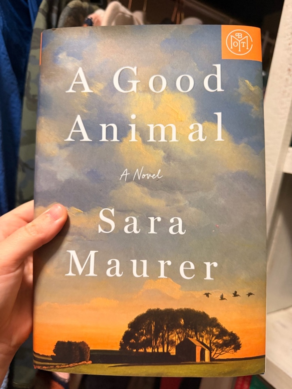 Book of the Month “A Good Animal” by Sara Maurer